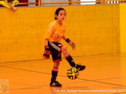 mini-Schlins-U9-Spiegl-DSC_1583